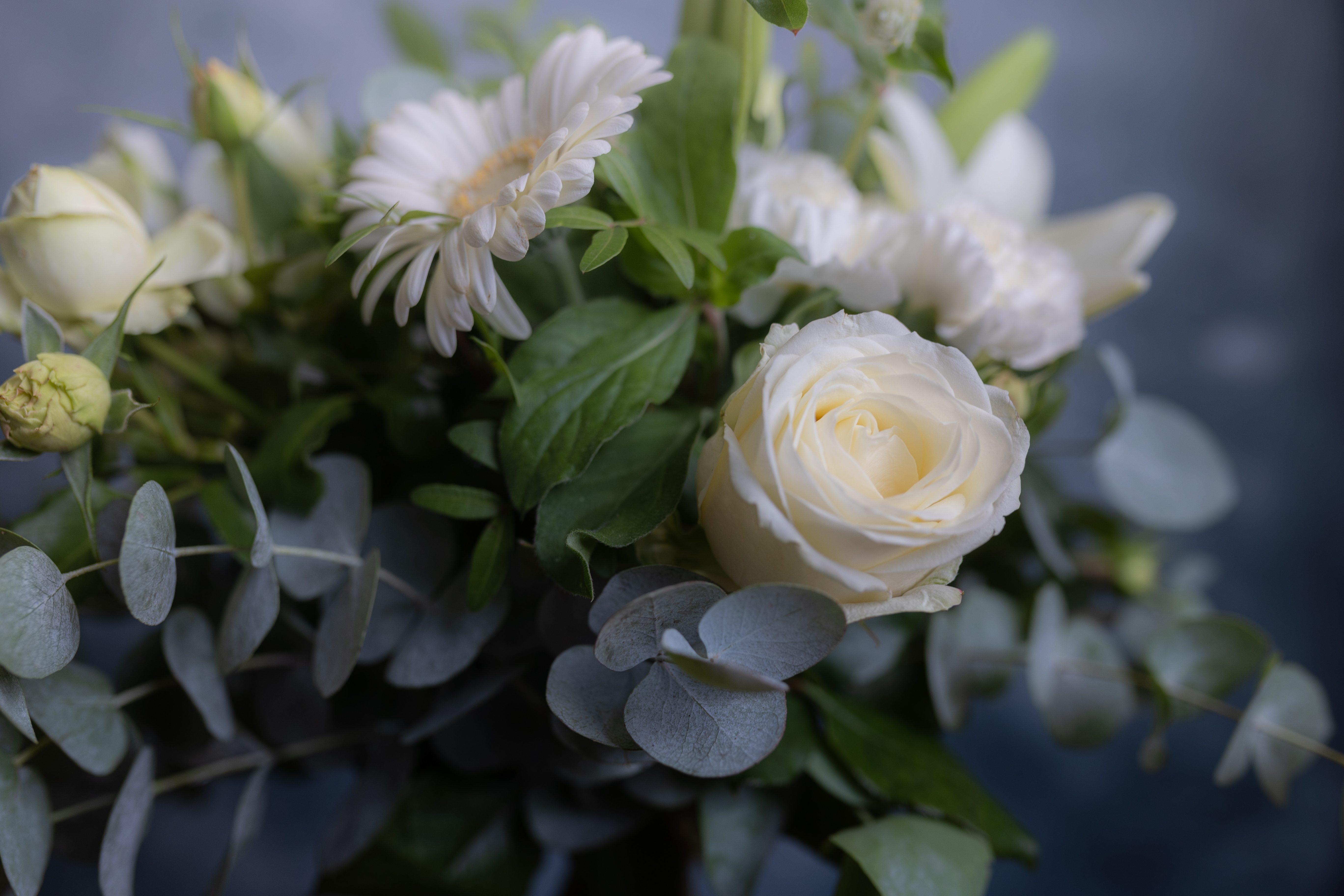 Roses